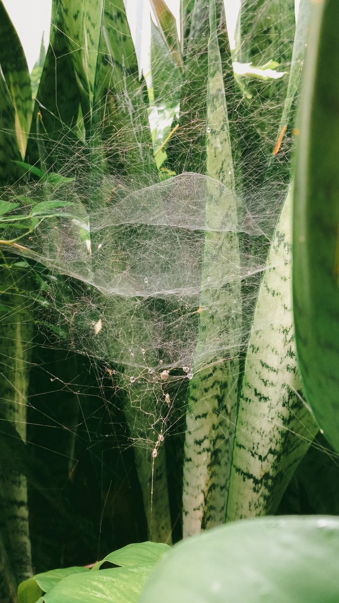 DjemariPensil's tweet image. Lama banget ya aku nggak setoran foto-foto. Ada foto lama juga yg baru sempat aku edit tadi. Seru ya motret random begini di saat isi kepala rame banget.