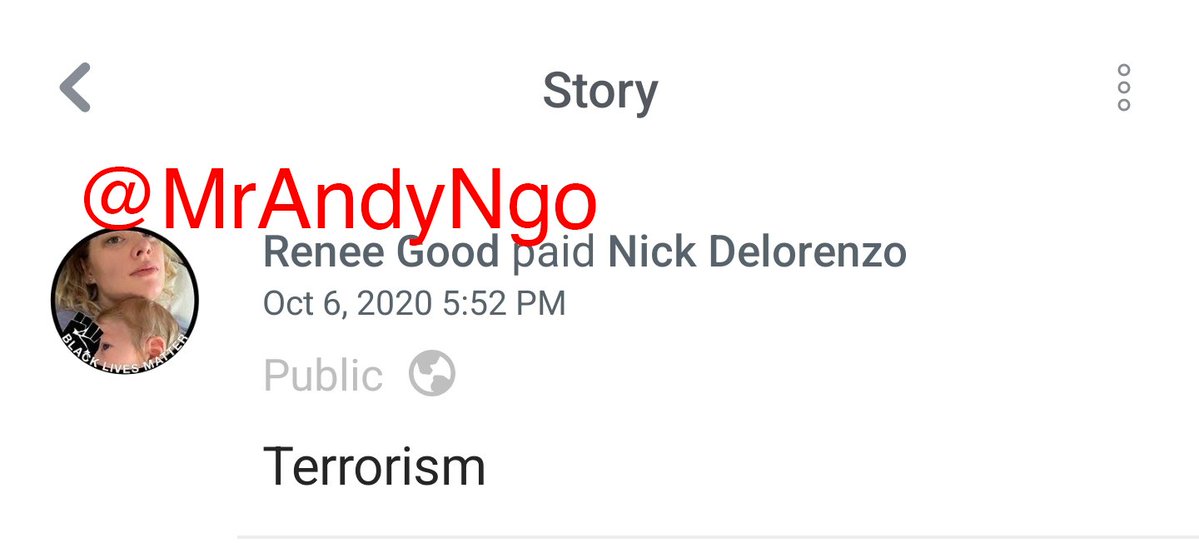 MrAndyNgo's tweet image. I found the Venmo of the woman shot dead in Minneapolis by ICE after accelerating into an agent. Renee Good's mother was paying her bills, her image features a BLM logo, and in 2020, she paid someone for "terrorism." ngocomment.com