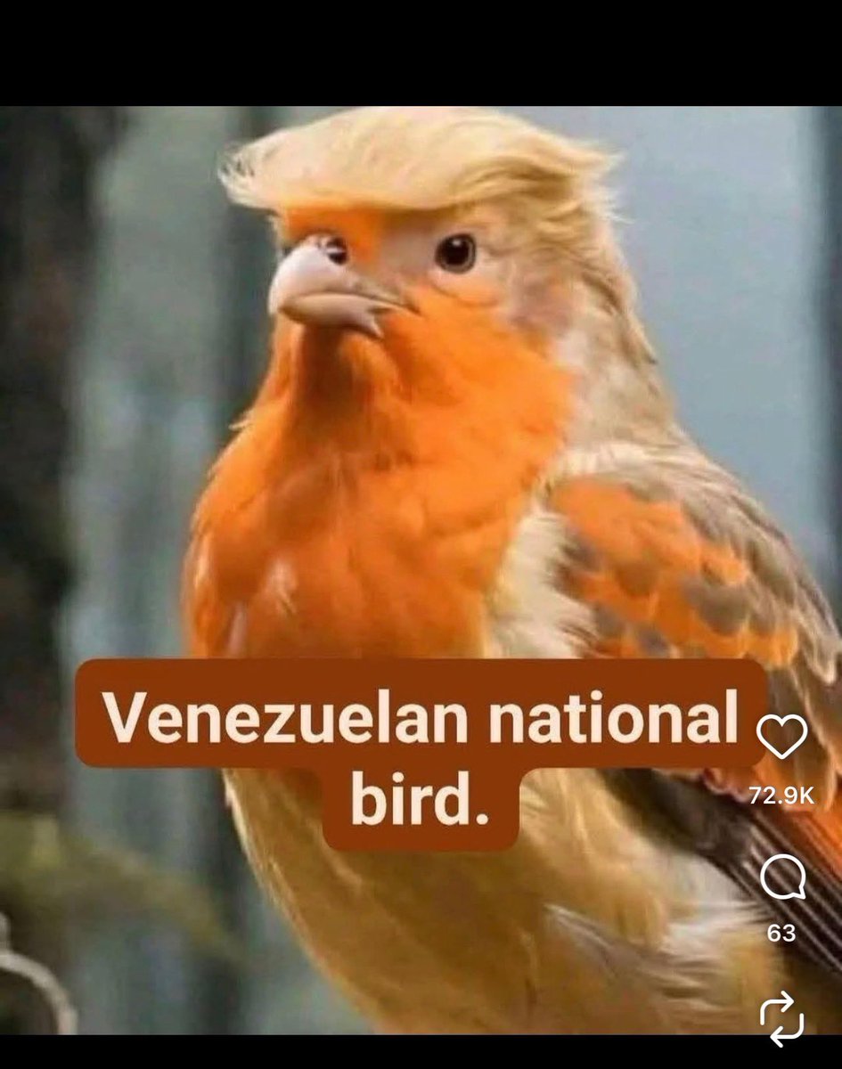 YvonneJungwirth's tweet photo. lol. https://t.co/5IRpbURdvk