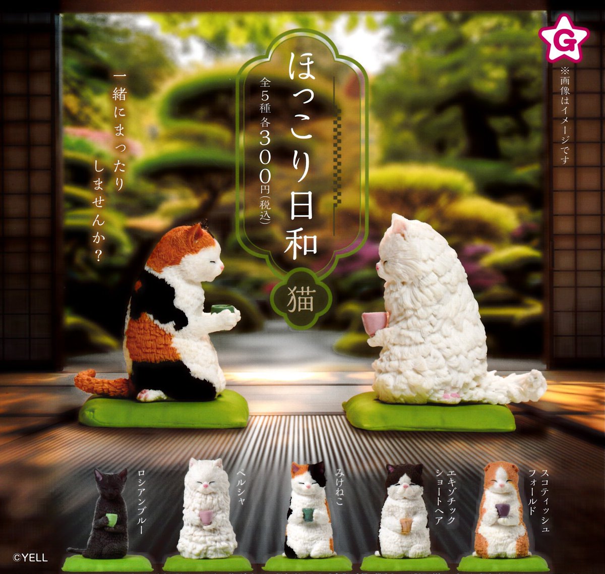 1月10日 🎍入荷情報🎍 【本店】 🐰お詣りうさぎ 弍 🐈ほっこり日和 猫