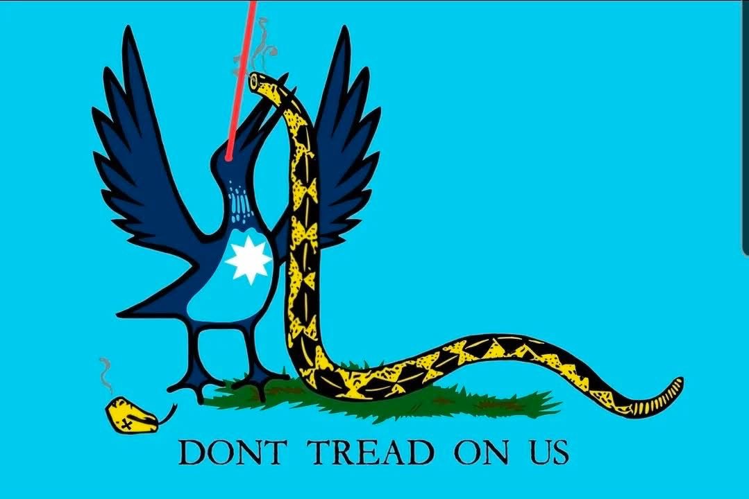 Lydia Kauppi tweet media