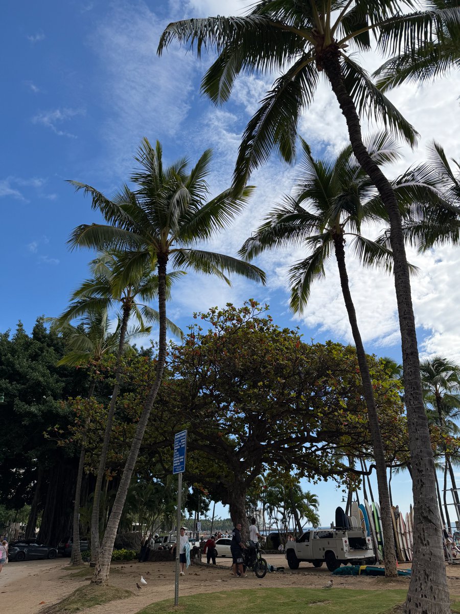 lealeahawaii's tweet image. #ハワイ からおはようございます🌴本日も素敵な一日になりますように😊🌺

#ハワイ旅行 #ハワイ好きな人と繋がりたい #ワイキキ #ワイキキビーチ