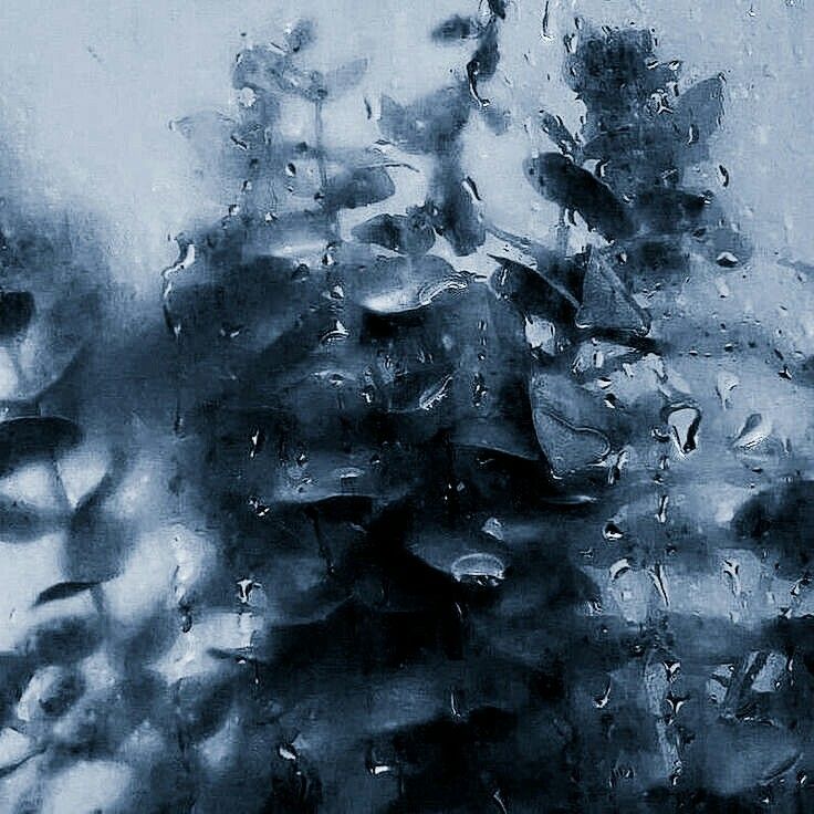 4wonweek's tweet photo. #promotwt ₍^. .^₎⟆
(✿˘͈ᵕ˘͈)             ᕱ        🍁         ≣ ⑅
         ꊞ       ⁺    rein   @  minor!
⸝⸝   infp ❀    ⊹  any   ◟   selc fb   ★
⤷  #丹恒 NS yume  ╱   crrd4dni
   https://t.co/AbhIXMd5Mn
. ˖  ꒰𑁬 #hsrtwt #hi3twt #fgotwt ໒꒱  ˖ . https://t.co/1Rvfm3TOQa