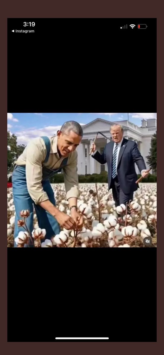 StormSessions tweet media