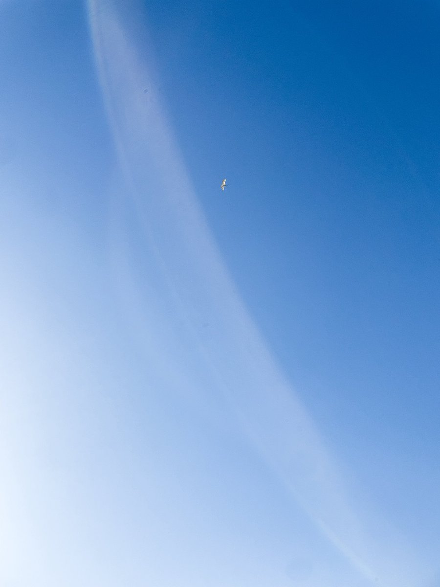 noda (@noda00bb) on Twitter photo 