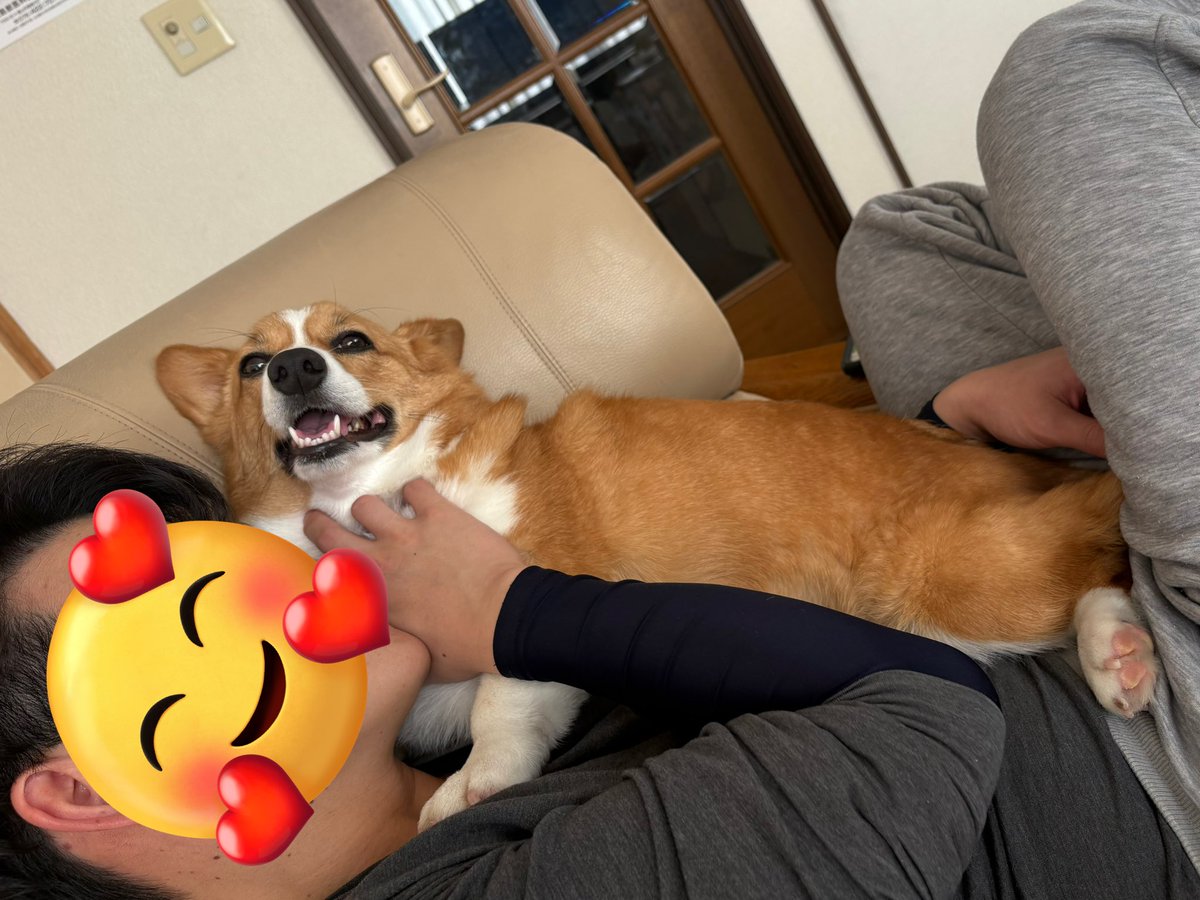 パパに甘えん坊できて幸せ〜な休日☀️