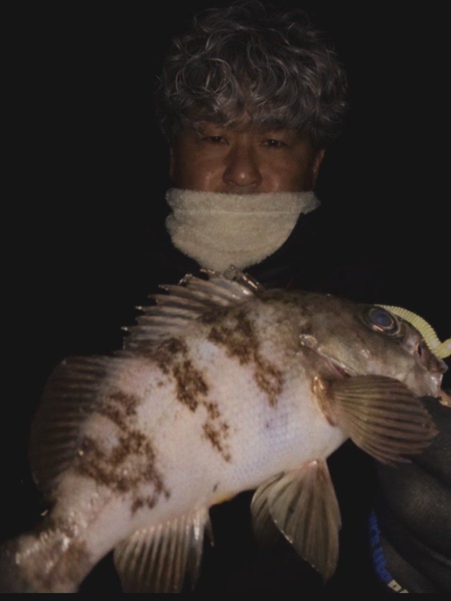 yuji1981_'s tweet photo. ボトムにベッタリの日。
時間が進むにつれて風が強くなってきてしんどかった。

#チビキャロスワンプ 
#rains 
#メバル 
#メバリング https://t.co/LysqEZhUcv