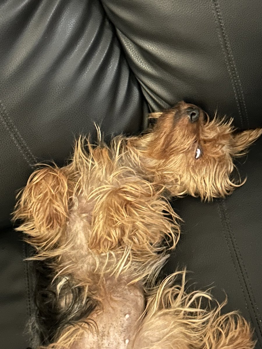 flormb__'s tweet image. Vecna viendo Venezuela desde el Upside Down a través de Capu 🤣. Alguien póngale Running Up That Hill para que encuentre la forma de volver