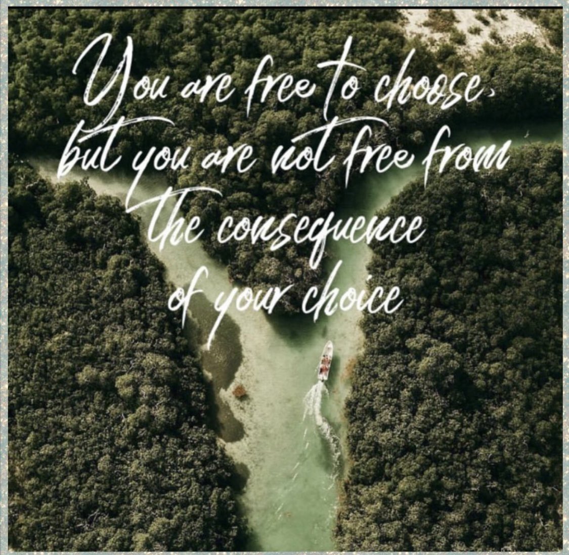 PurposeInView's tweet image. 𝕀𝕐𝕂𝕐𝕂 • ℂ𝕙𝕠𝕚𝕔𝕖 𝕖𝕤𝕥𝕒𝕓𝕝𝕚𝕤𝕙𝕖𝕤 𝕒𝕦𝕥𝕙𝕠𝕣𝕚𝕥𝕪; 𝕔𝕠𝕟𝕤𝕖𝕢𝕦𝕖𝕟𝕔𝕖 𝕔𝕠𝕟𝕗𝕚𝕣𝕞𝕤 𝕚𝕥.