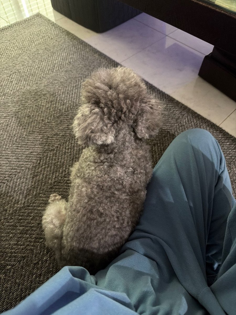 hourly_zero's tweet photo. ZERO UPDATE🩶 https://t.co/bUCFhrXWnx
