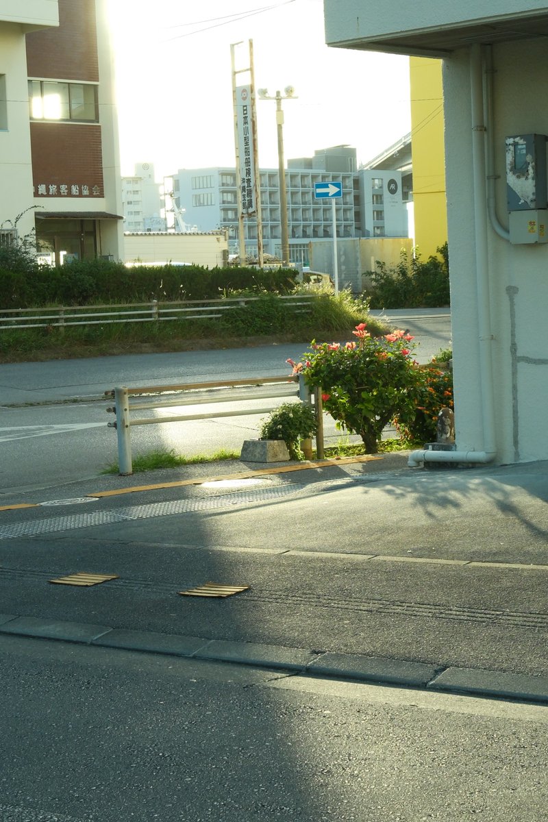 OKINAWA photography6529枚目 ＃tokyocameraclub