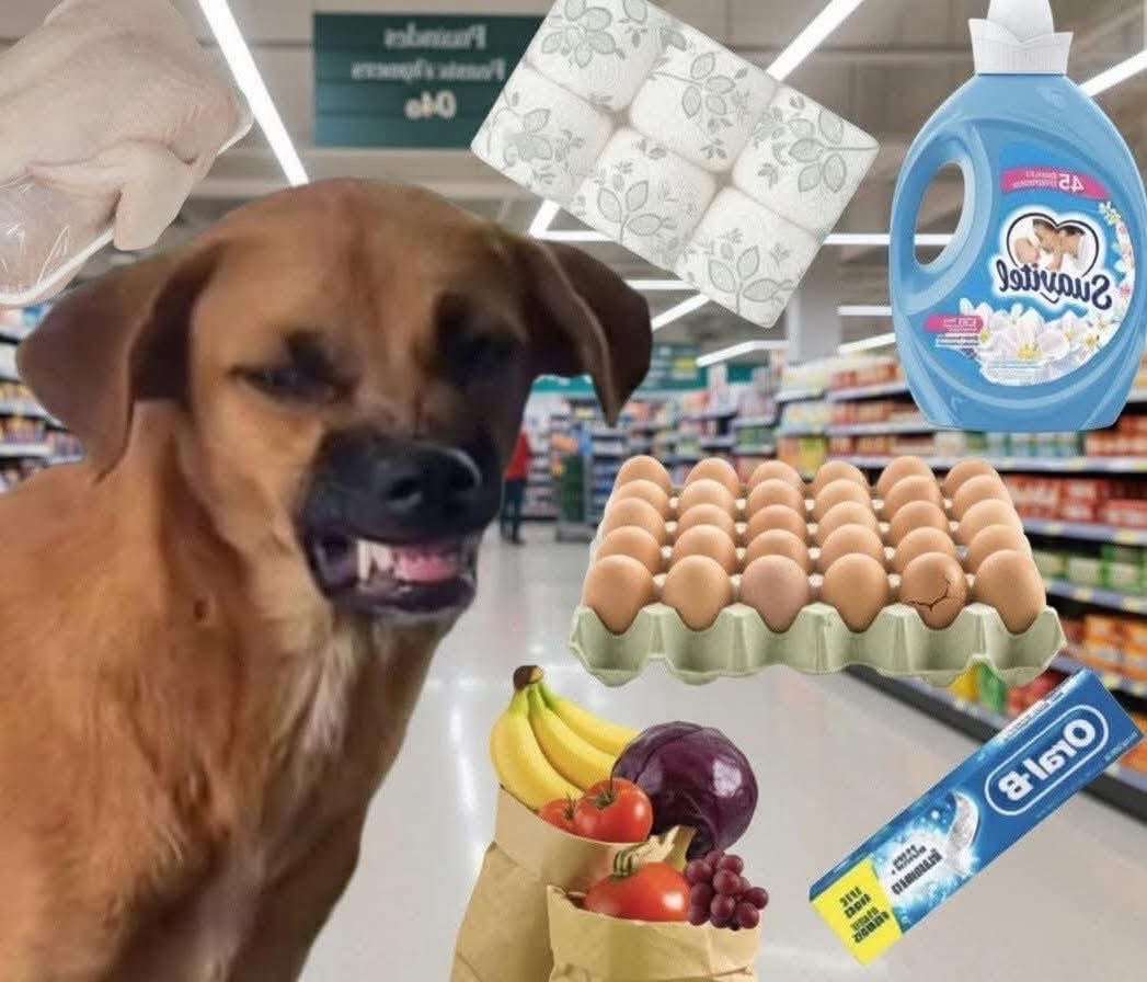 Yo gastando mi dinero en cosas que Sí necesito.