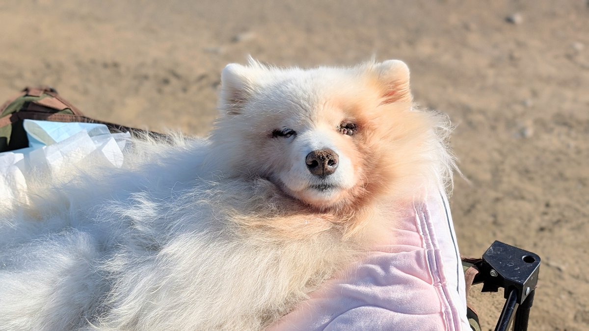 今日も可愛い❤️👍️