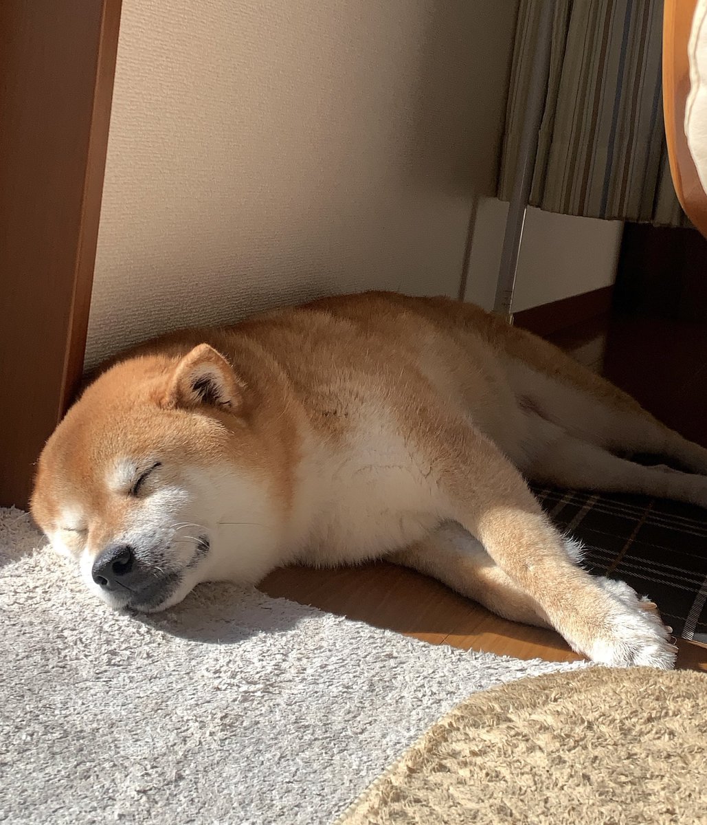 ⭐️Ginzi⭐️ (@48ginzi) / Posts / X