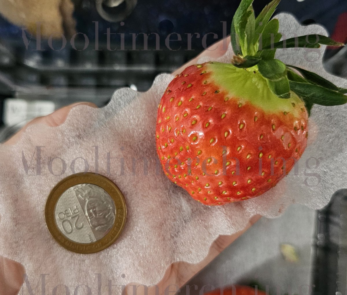 MooltiMerch's tweet image. Not K-pop related shipment but thank you to those who ordered Korean strawberries. We get from different suppliers per shipment and ship them overnight so they're fresh from the market. ☺️ King's Berry for this batch, coin for scale. Fragrant and very sweet. 🍓