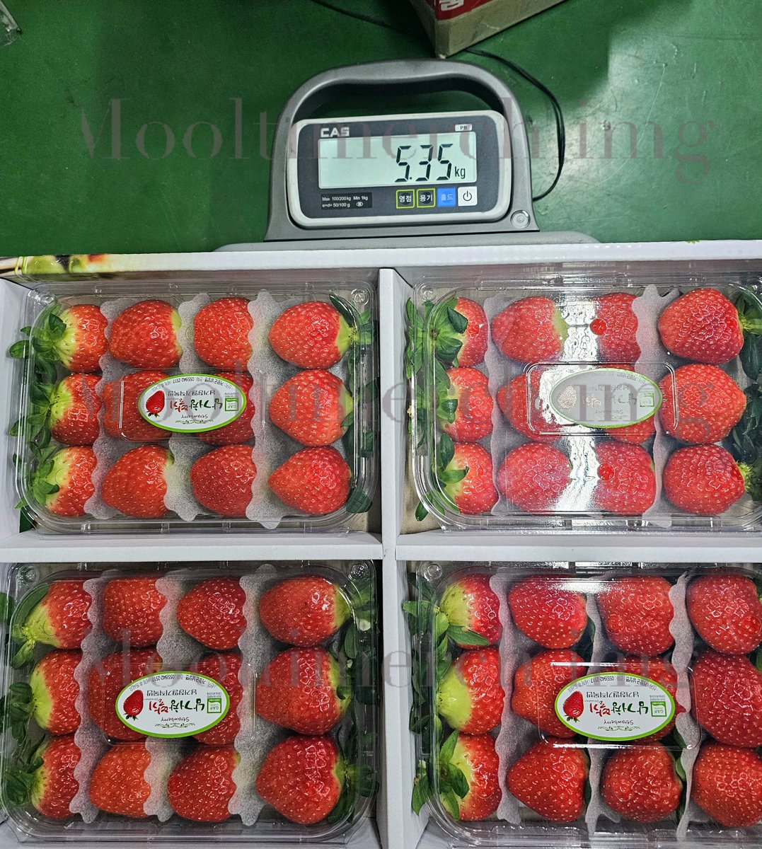 MooltiMerch's tweet image. Not K-pop related shipment but thank you to those who ordered Korean strawberries. We get from different suppliers per shipment and ship them overnight so they're fresh from the market. ☺️ King's Berry for this batch, coin for scale. Fragrant and very sweet. 🍓