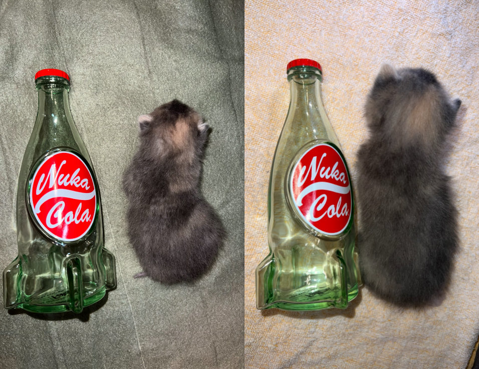 mrsfallout's tweet image. Week 2 update. Now a full Nuka Cola 🥰