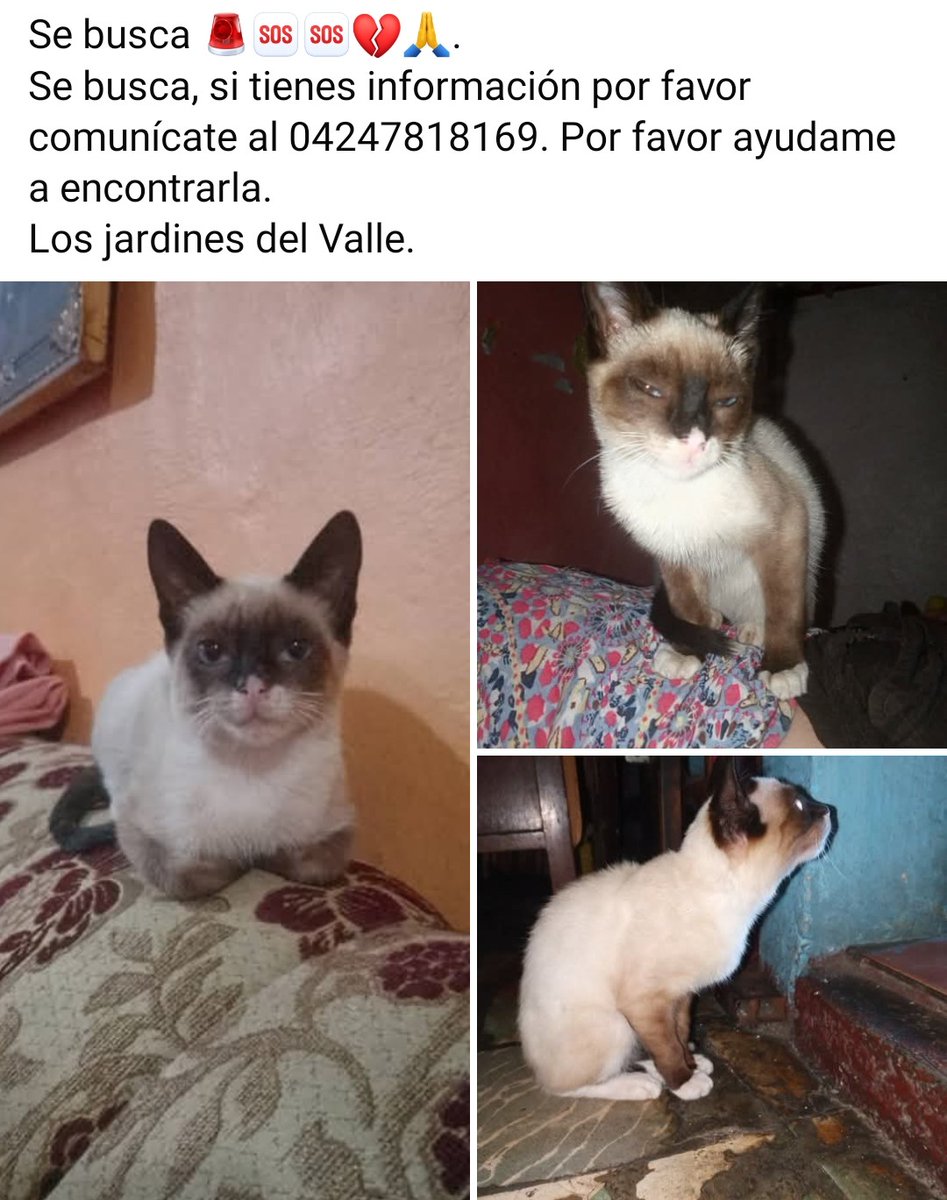 Se busca en Los Jardines del Valle, Caracas