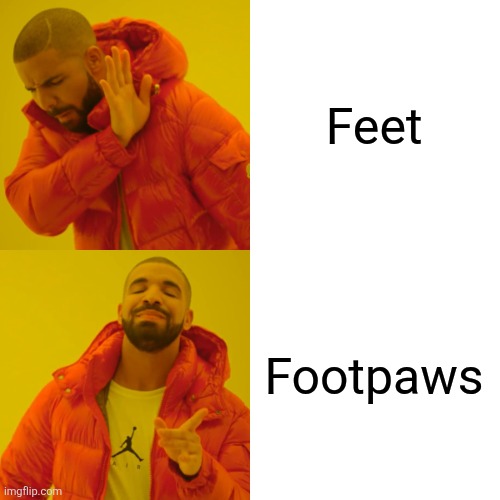 pottymouthchee's tweet photo. Twitter thinks I like feet for some reason but they clearly don't understand #paws #footpawfriday https://t.co/0BjeJX1L44