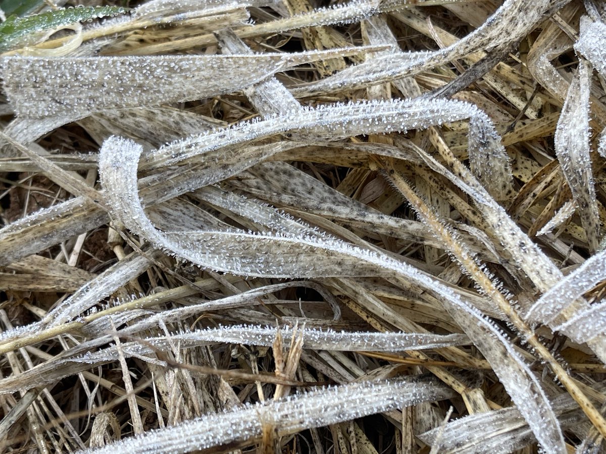 Likeview3's tweet image. หลับเต็มตื่น...
ทอเต็มผืน...

...ด้วยชุดเครื่องนอน #แม่คะนิ้ง #เหมยขาบ

#ดอยอ่างขาง #วันเด็ก69