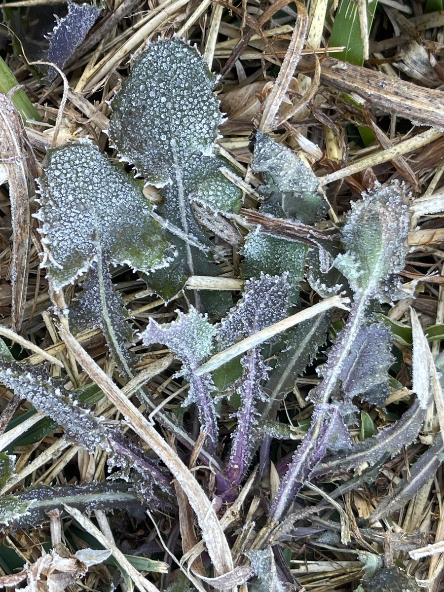 Likeview3's tweet image. หลับเต็มตื่น...
ทอเต็มผืน...

...ด้วยชุดเครื่องนอน #แม่คะนิ้ง #เหมยขาบ

#ดอยอ่างขาง #วันเด็ก69