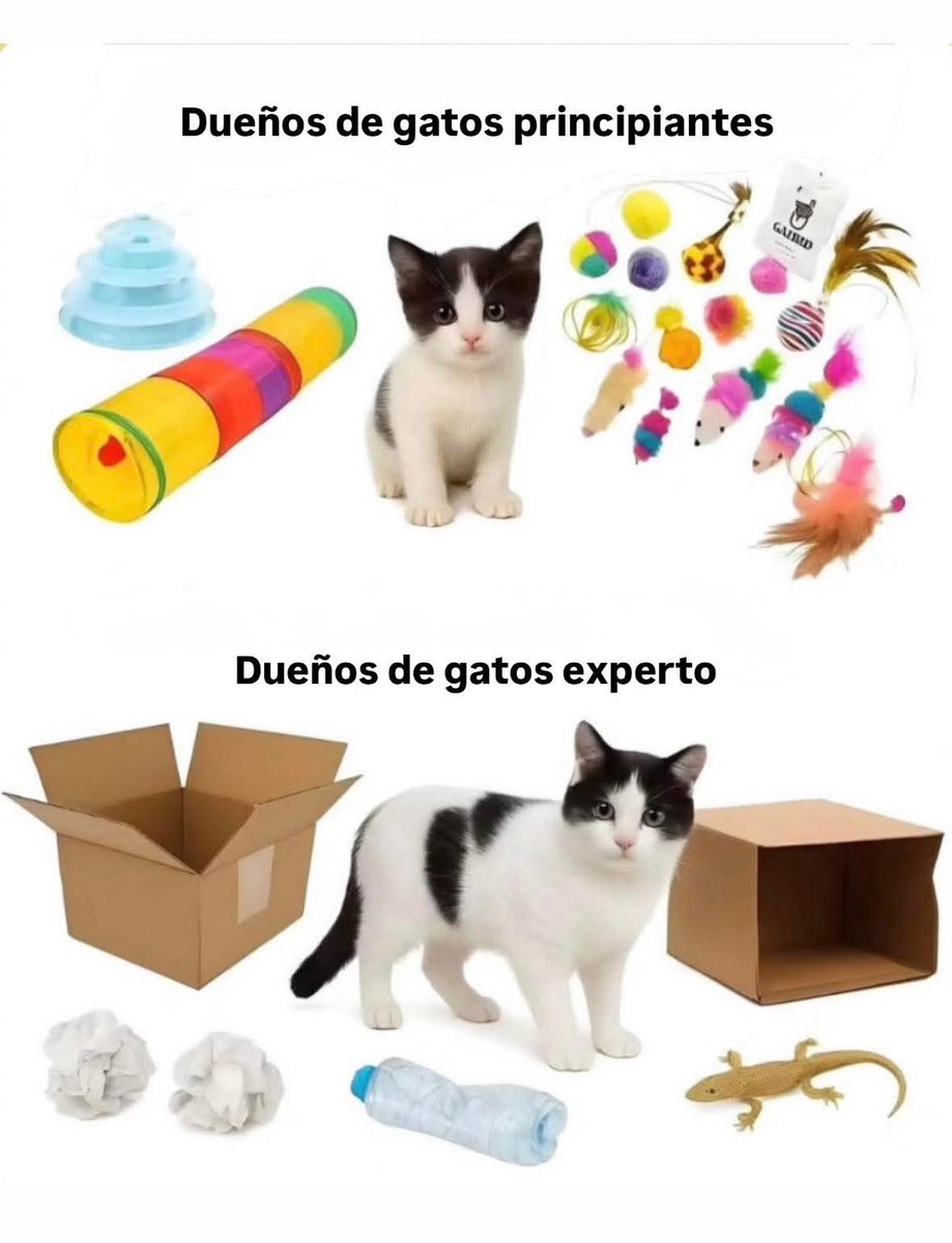 M O T I V A N D O T E (@m0tivand0te) on Twitter photo 