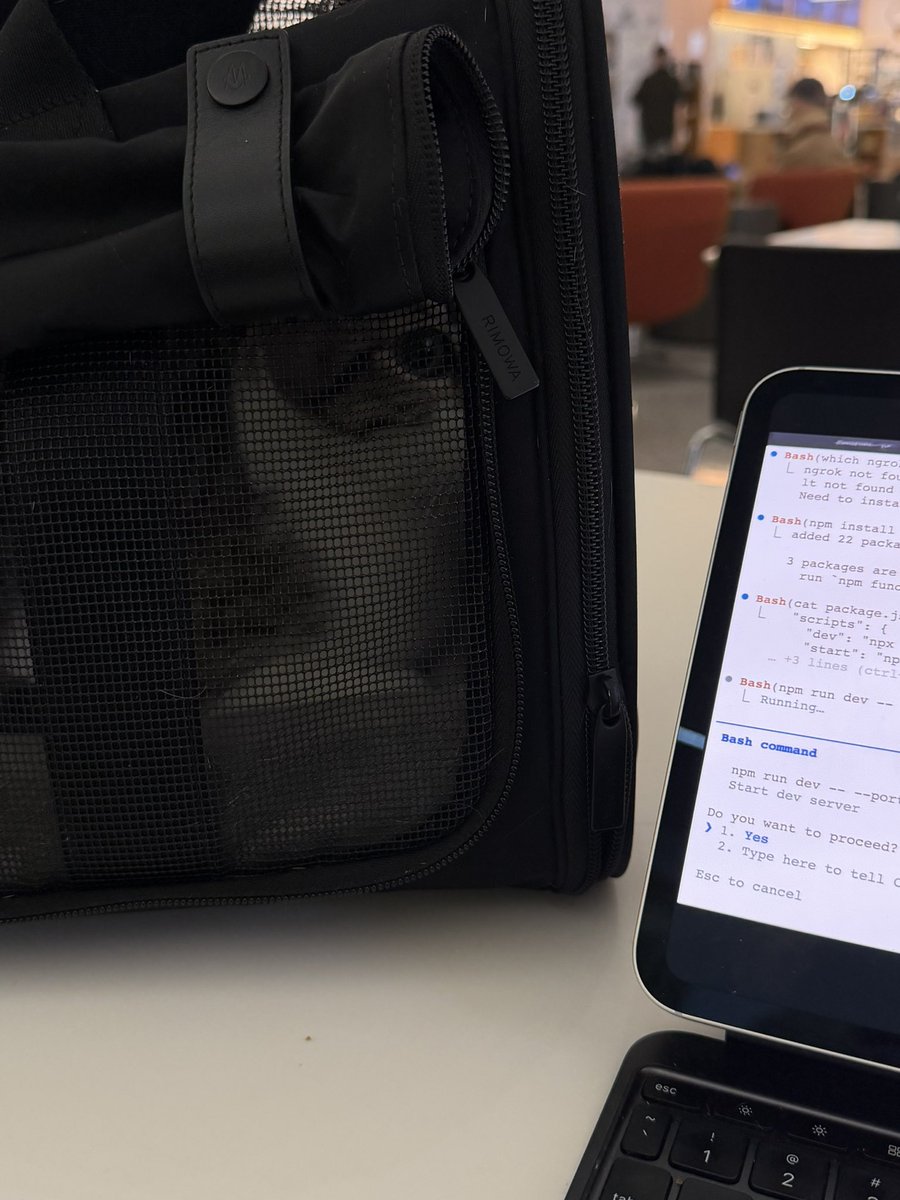 David Hoang tweet media