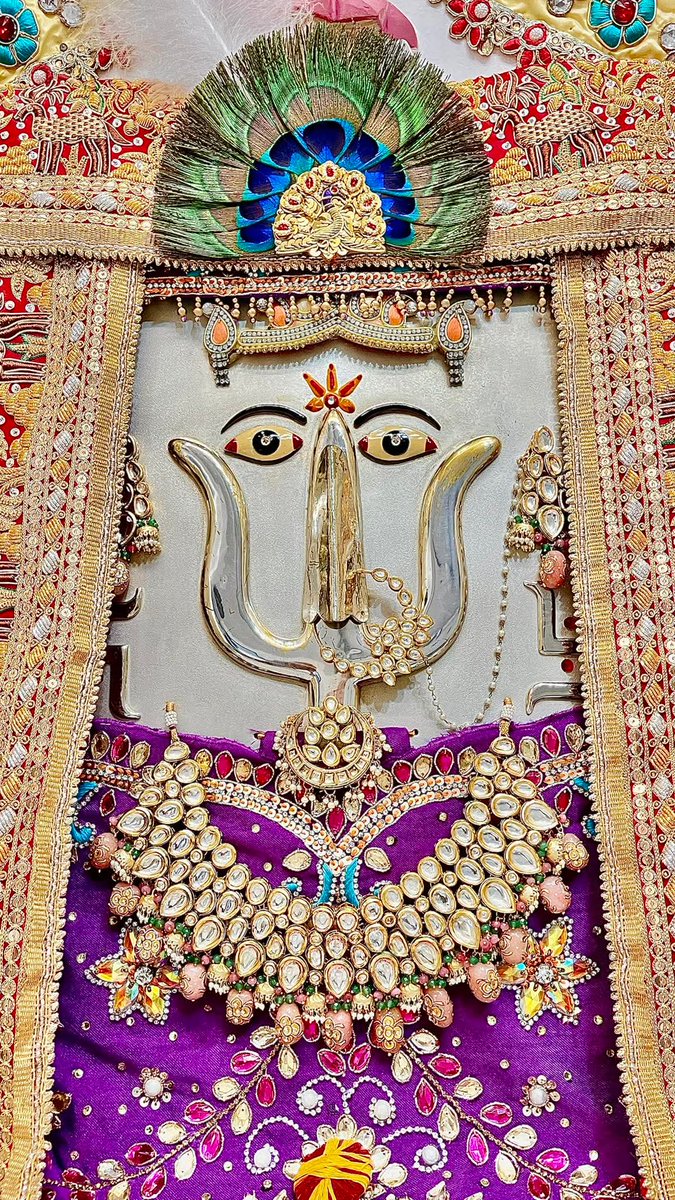 जय दादी की जय जय श्री दादी जी की भाई जी राणी सत्यै नमो नमः