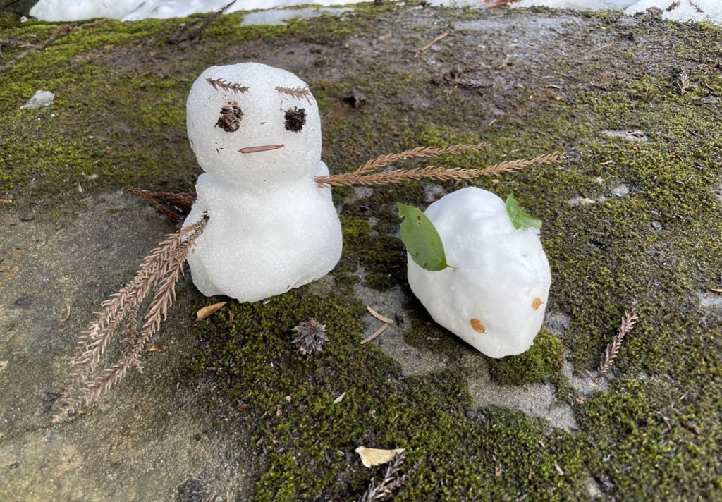 確認(  ᷇࿀ ᷆ و)و画像8枚 これを見た人は無言で去年の1月の画像を貼る