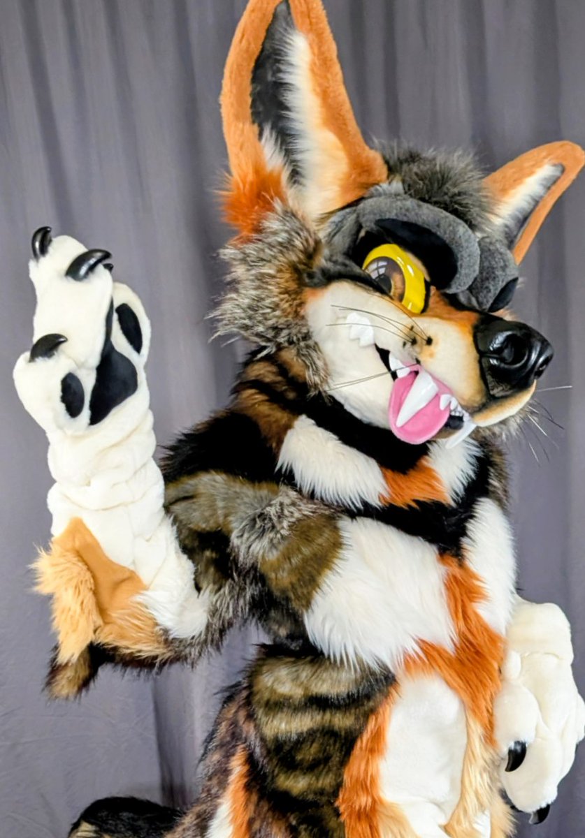 Meet Chorizo, the yote who is ready to spice up your #FurtherConfusion2026 adventure! Click the link below and submit your best offer NOW for con pickup! Who's fired up to adopt this snarly beast? 🔥
#FursuitFriday 

morefurless.com/adoptions-chor…