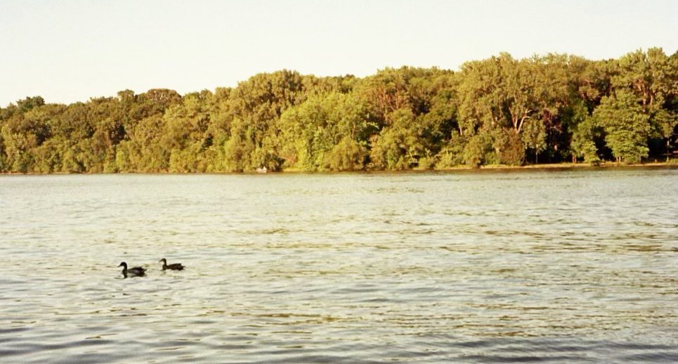 gailinmn's tweet image. love letter to minneapolis summer (on film)