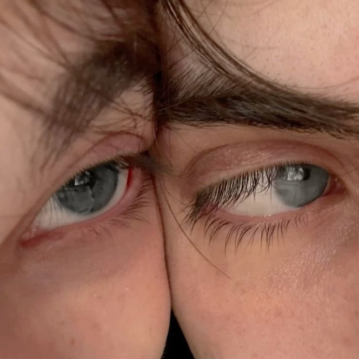 immeyah's tweet image. thiam has a pic like this one (liam “forced” him to take the pic— which means theo pretended to be annoyed but stayed still anyways) and it’s liam’s pfp for over two years