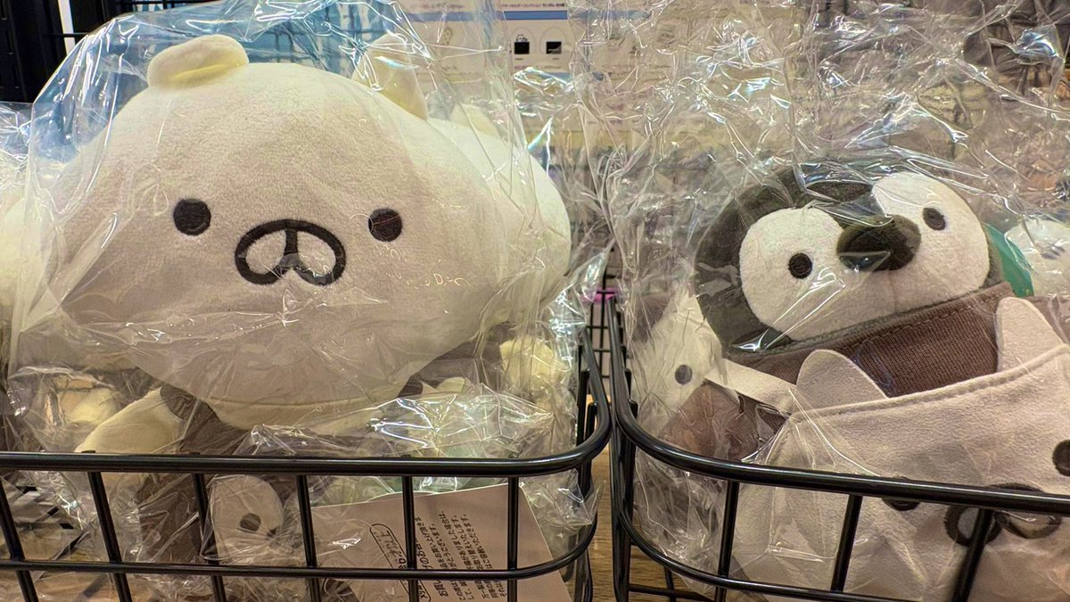 POLARISTA_KYOTO's tweet photo. ／
📣 ねこぺん日和
　本日より販売開始🎊
 ＼

BiVi二条２F
 「ぽらりすた」にて
販売しております💫
 
ぬいぐるみや畳コースター、
ポストカードなど
各種そろえております🥳
 
#京都 #ねこぺん日和 
#BiVi二条　🐈🐧💨 https://t.co/aIRXOSuIE3