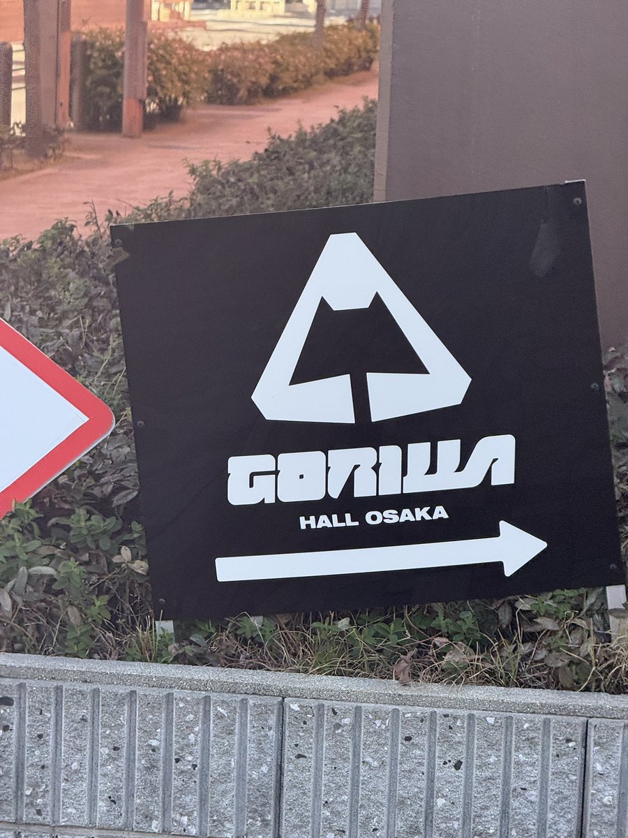 XHXHXHDD's tweet image. 고릴라홀 고릴라가 너무 많음