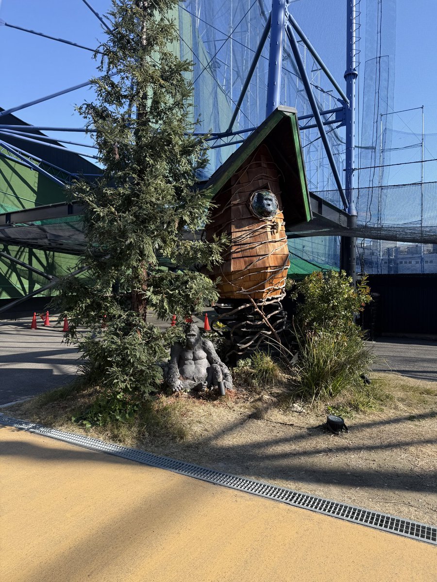 XHXHXHDD's tweet image. 고릴라홀 고릴라가 너무 많음