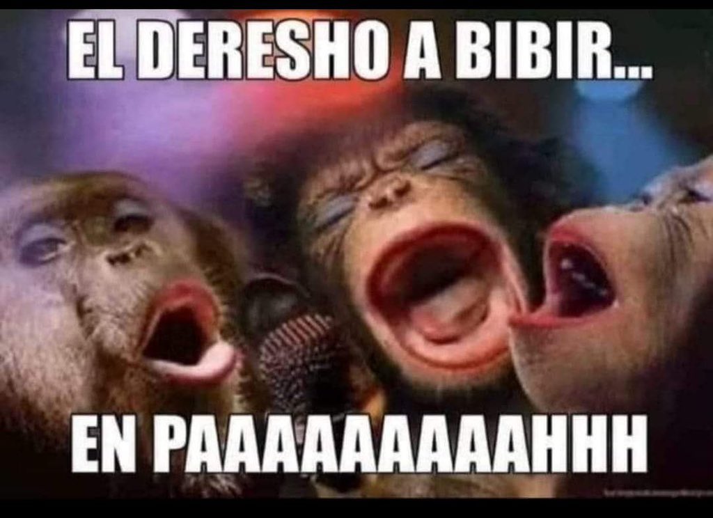 CG 🛡️🪓 tweet media