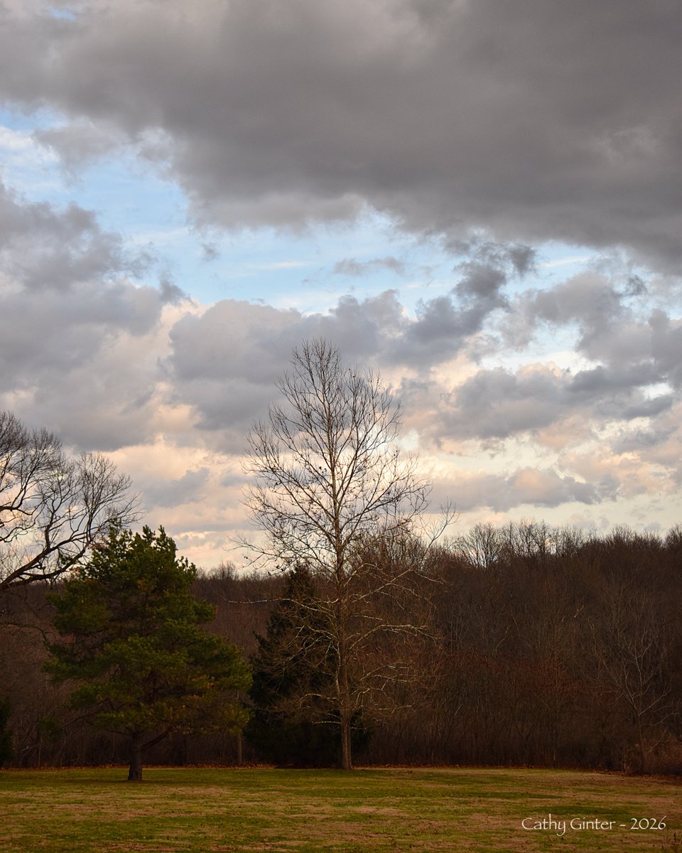 CathyGinter's tweet photo. The snow had all melted away with the last of the early January rains, and the sky was so incredibly beautiful this afternoon that I just had to shoot my first photo of the new year ~
#Nature #Photography #SignsOfWinter https://t.co/GsE3RCmRqx