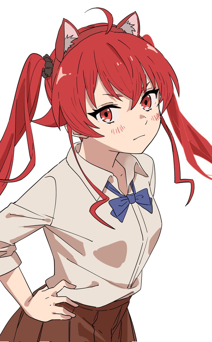 エリス Zebra 800077-742 True Colours IX Series YMCKO Ribbon