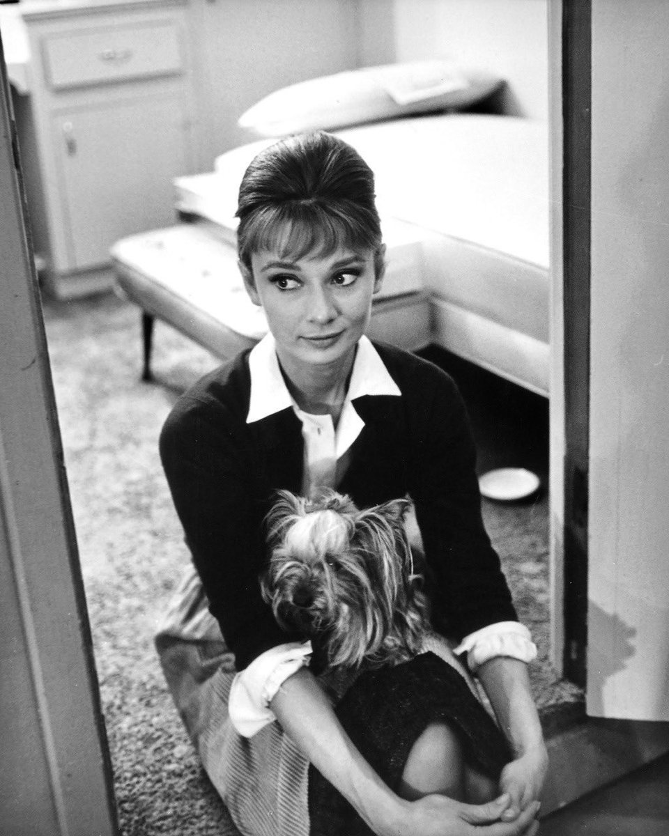 hepburnfiles's tweet photo. audrey hepburn photographed on the set of “the children’s hour” (1961) https://t.co/SbU7TFCbC2