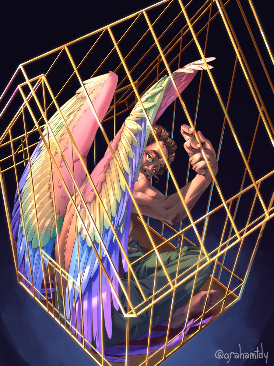 Graham Dy tweet media