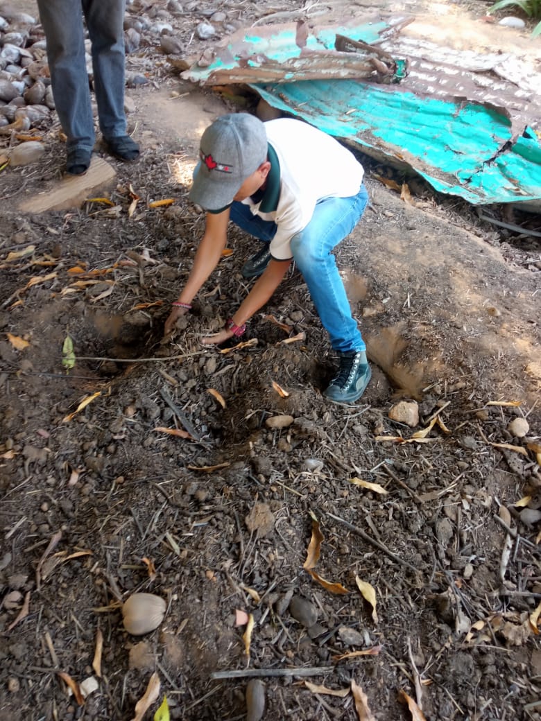 Una tarde relax en la Granja.