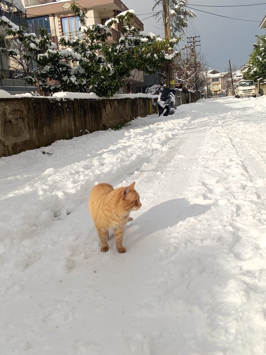 AsalVefa's tweet photo. Öyle bir ahımızı aldılar ki cennette bile cehennemi yaşayacaklar.

Vahap Çalışkan. https://t.co/aCKJIGko85
