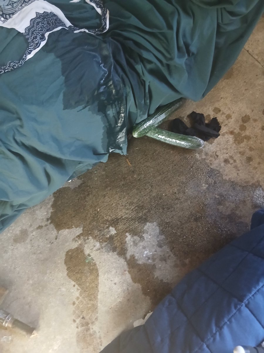 WetWithJet666 tweet media