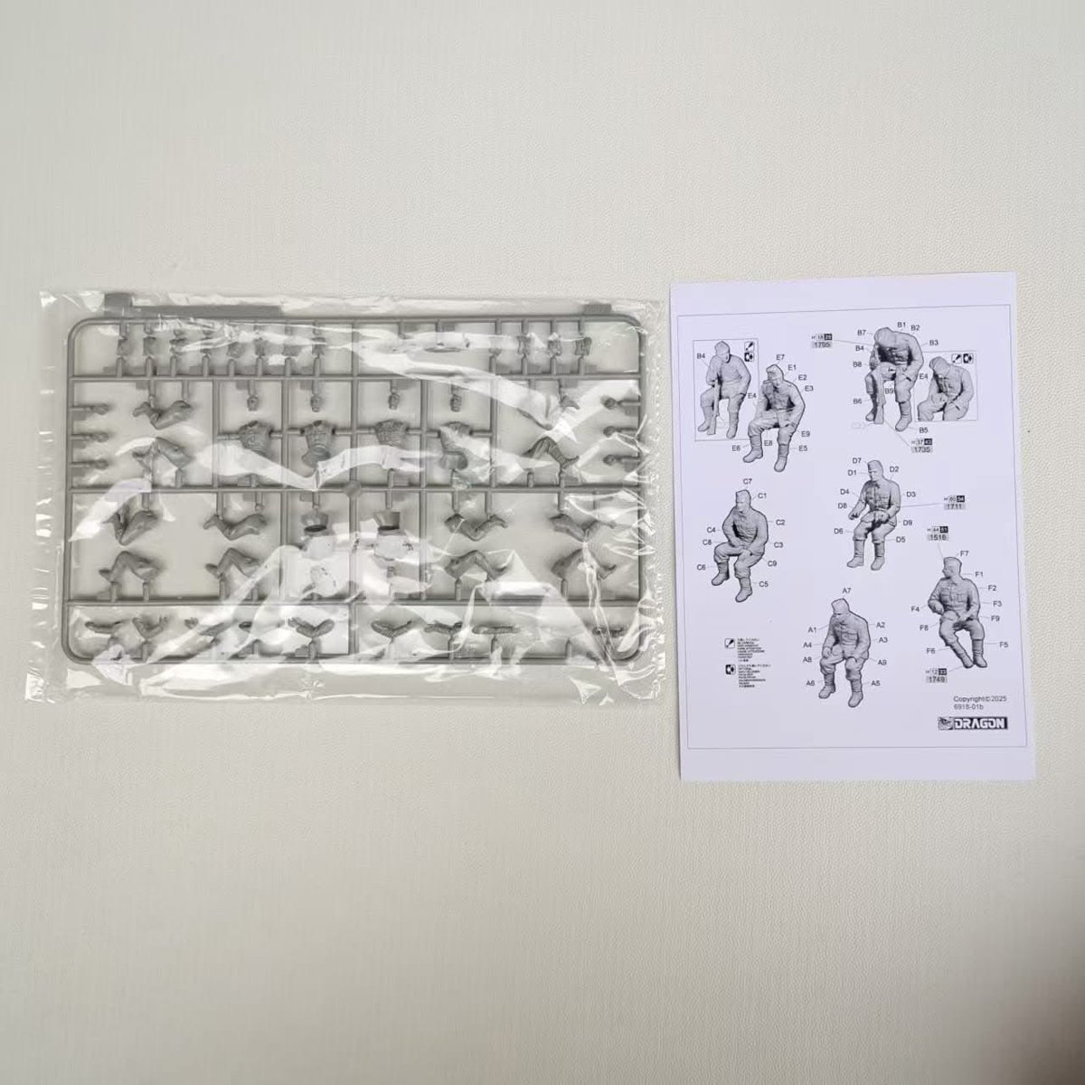 Dragon Models tweet media