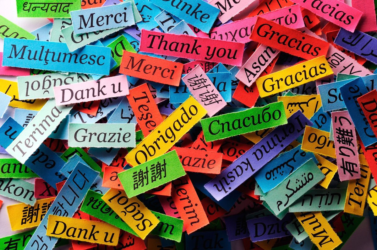 Top 10 Hardest vs Easiest Languages to Learn

Hardest Languages to Learn

1) 🇨🇳 Mandarin Chinese
2) 🇸🇦 Arabic
3) 🇯🇵 Japanese
4) 🇰🇷 Korean
5) 🇭🇺 Hungarian
6) 🇫🇮 Finnish
7) 🇵🇱 Polish
8) 🇷🇺 Russian
9) 🇹🇷 Turkish
10) 🇮🇸 Icelandic

Easiest Languages to Learn

1) 🇿🇦 Afrikaans
2) 🇳🇱