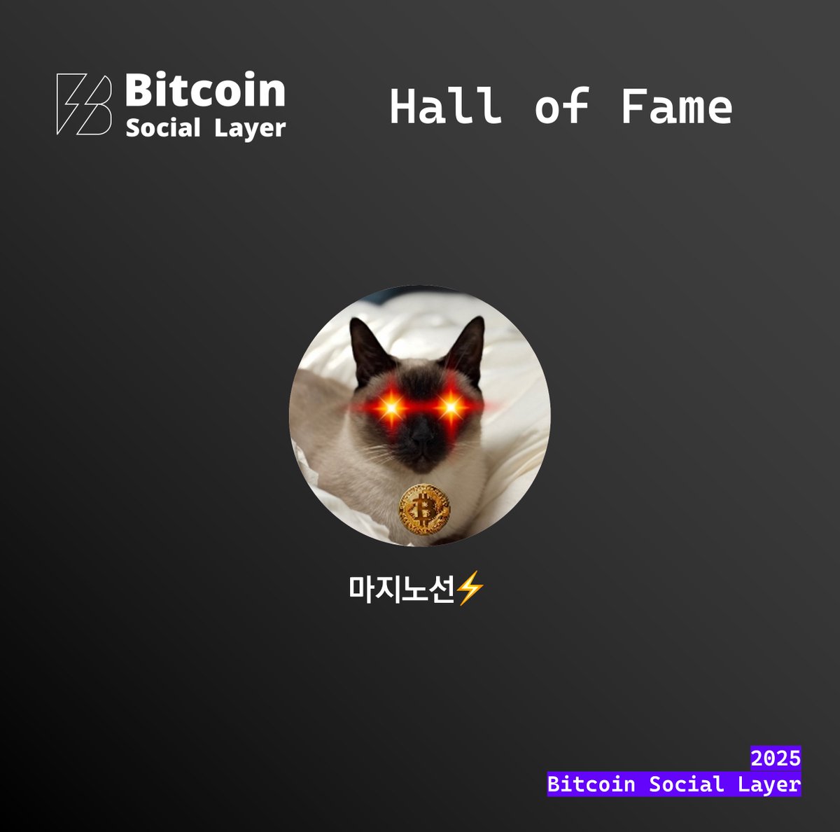 ₿itcoin Social Layer tweet media