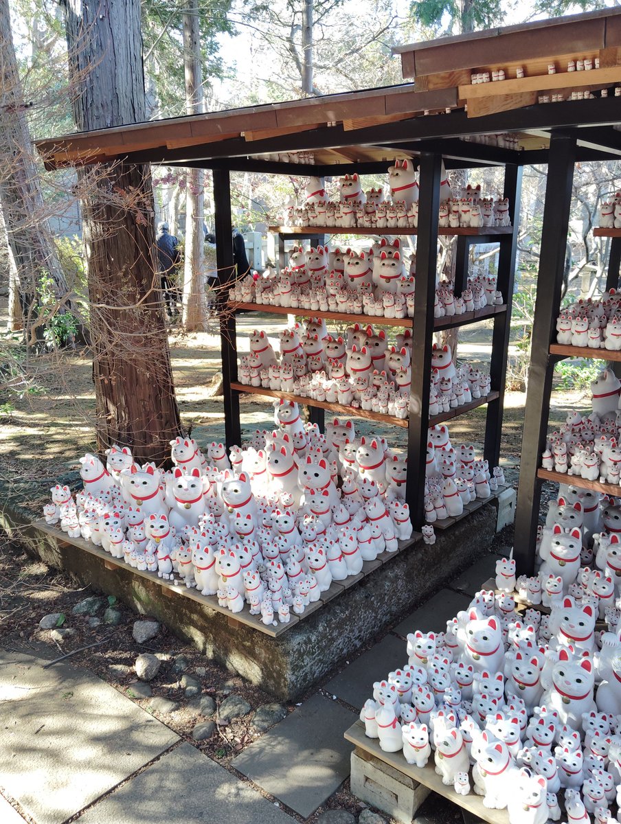 ジョニヲ tweet media