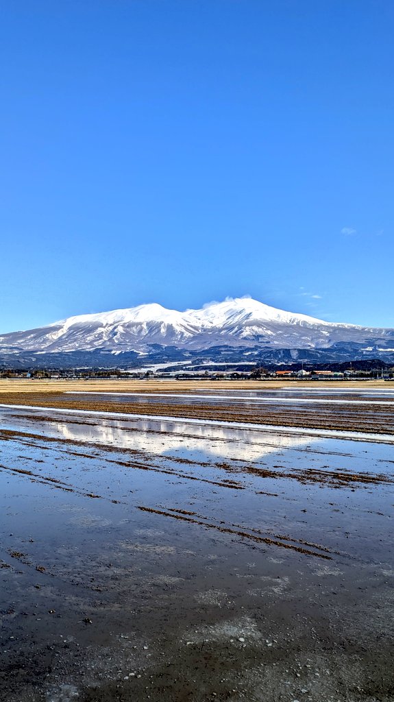 まっさん (@massan4646) / Posts / X