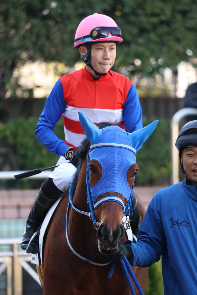 Yoocof's tweet photo. 中山競馬場4R新馬戦🔰
頑張れニューハイ😊🩷
怪我なく無事に☺︎
#ニューハイ 
#ナカヤマフェスタ産駒 https://t.co/OxmITBr0QY