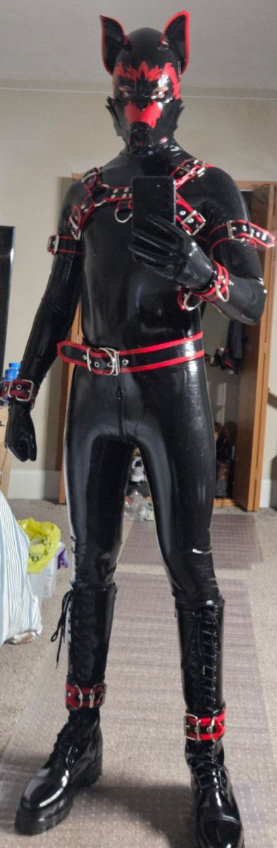 Kaydewolf 🔜FANG tweet media